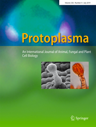 Journal Cover