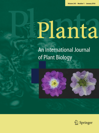 Journal Cover