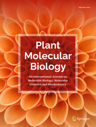 Journal Cover
