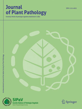 Journal Cover